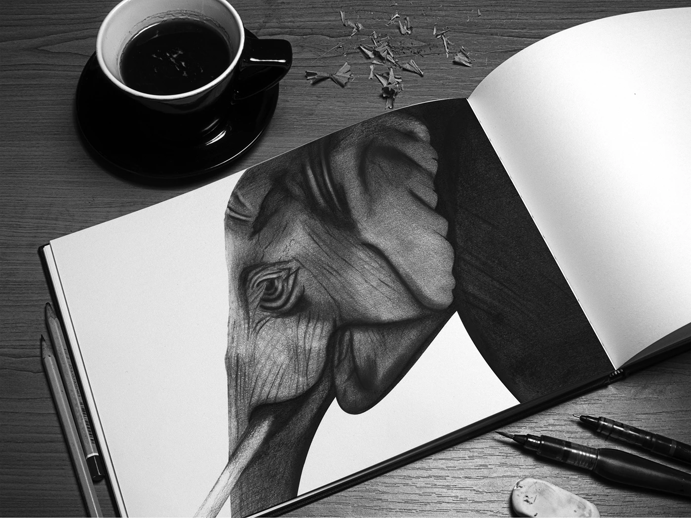 The Chained Elephant